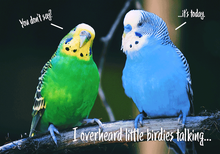 Two Parakeets On Branch E-Card